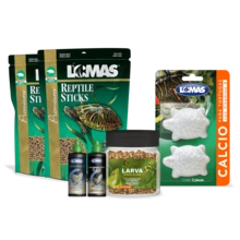 FANCY PETS Turtle Feeding And Care Kit 6 Pcs Lomas - D 款 - 查看 2