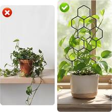 5米塑料花园植物支撑架，带魔术贴绑带，适用于常春藤、椒草、龙血树和其他攀援植物 - A - 查看 2