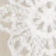 Beige Embroidery