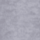 Gris NZ251996