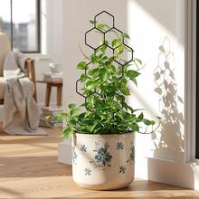 5米塑料花园植物支撑架，带魔术贴绑带，适用于常春藤、椒草、龙血树和其他攀援植物 - A - 查看 4
