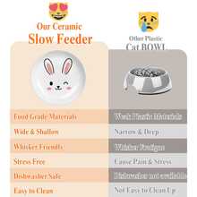 4pcs Ceramic Cat Feeding Bowl Set, Rabbit Pattern Ceramic Feeding Bowl, Multi-Piece Ceramic Cat Feeding Bowl, Wide Shallow Bowl Rim Whisker Friendly, Suitable For Multi-Cat Households, Suitable For Cats And Small Dogs, Microwave And Dishwasher - 1L - View 4