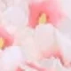 Flesh Pink