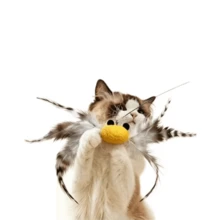 逗猫棒玩具,室内猫玩具,互动创意人造羽毛逗猫棒玩具,消磨时间,保持健康,逗猫棒替换装 - 查看 6