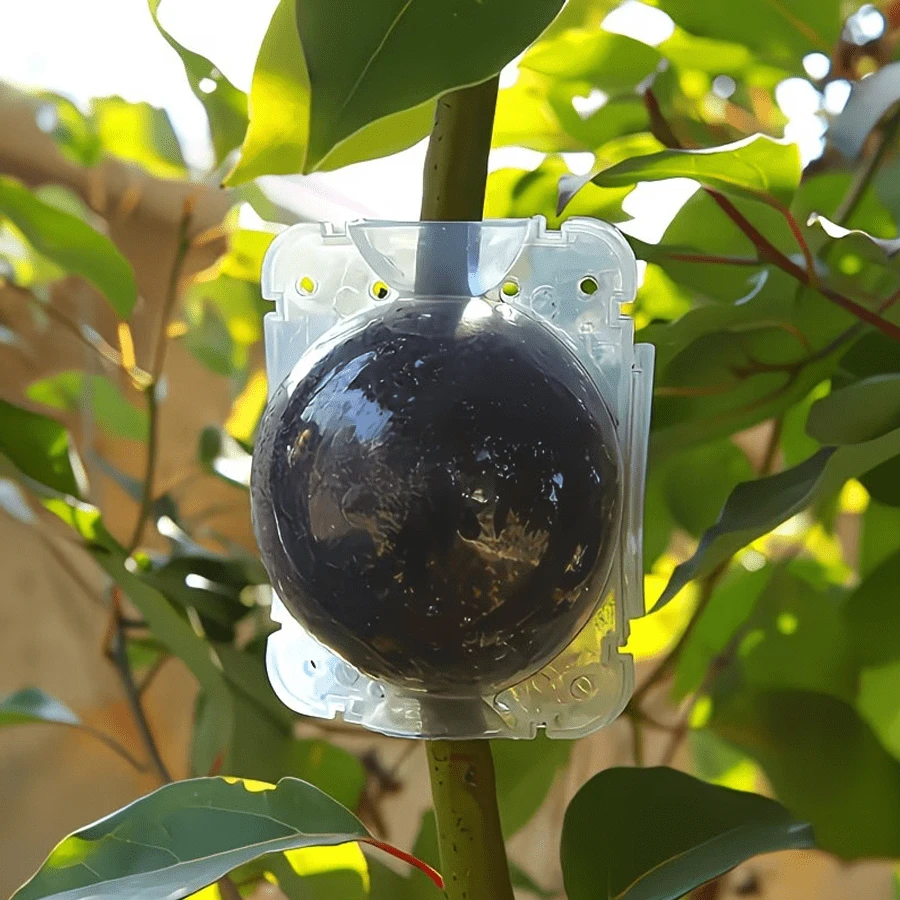 Caja para el crecimiento de raíces de plantas, dispositivo de reproducción de alta presión reutilizable y sin daños en forma de bola para el injerto de raíces de plantas, caja para la reproducción rápida de plantas mediante capas aéreas