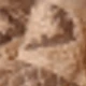 A-camel