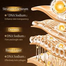 Korean Ginseng Instant Wrinkle Removing Facial Essence - Lift, Tighten, Reduce Fine Lines, Brighten - 棕色 - 查看 6