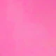 Rosa Fucsia