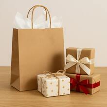 Sacola de Papel Kraft Pequena 21,5x15x8cm Kit com 5 Unidades Ideal Para Presentes Lembrancinhas Embalagens Elegantes Resistentes Sustentáveis Perfeitas Para Festas Eventos e Lojas - Multicolorido - Visão 1
