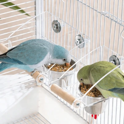 Lồng chim bằng acrylic dung tích lớn, dễ vệ sinh, chống gỉ, có chân đế bằng gỗ, bát đựng thức ăn bằng thép không gỉ, cốc nước chống tràn và thanh đậu mài móng, thích hợp cho vẹt uyên ương, vẹt đuôi dài và bồ câu.