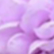 Màu hỗn hợp 1