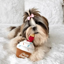 Dog Toy, Squeaky Dog Toys For Boredom, Plush Dog Present Chew Toy For All Breeds Dogs, Champagne Shape Interactive Dog Toys For Birthday Stimulating Gifts - 生日紙杯蛋糕 - 查看 7