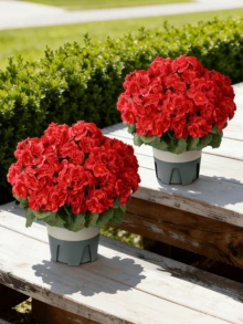 Nejlue Artificial Flowers/Plants1111 Home & Living 1/2/4株仿真天竺葵灌木 - 花朵栩栩如生，绿叶逼真，采用抗紫外线丝绸材质，仿真植物，适合户外装饰，如前门、门廊、阳台、庭院，以及室内家居装饰。 - 彩色 - 查看 7