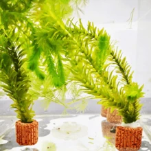 10/20个装水族箱陶瓷环，为鱼缸提供稳定的景观支撑。重力环适用于水生植物，兼具呼吸功能，易于使用，可用于水生植物固定，也适用于景观布置和装饰。 - 彩色 - 查看 3