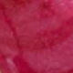 Rosa Fucsia