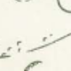 Nhiều màu