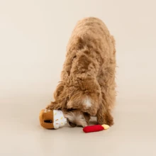 Dog Toy, Squeaky Dog Toys For Boredom, Plush Dog Present Chew Toy For All Breeds Dogs, Champagne Shape Interactive Dog Toys For Birthday Stimulating Gifts - 生日紙杯蛋糕 - 查看 5