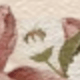 彩色