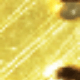 Dorado