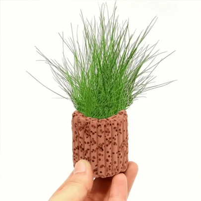 Vòng gốm đỡ cây thủy sinh, cung cấp giá đỡ ổn định cho cảnh quan bể cá. Vòng trọng lực thích hợp cho cây thủy sinh, vòng thở, vòng cố định cây thủy sinh dễ sử dụng, thích hợp cho việc bố trí và trang trí cảnh quan.