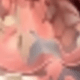 Coral Pink