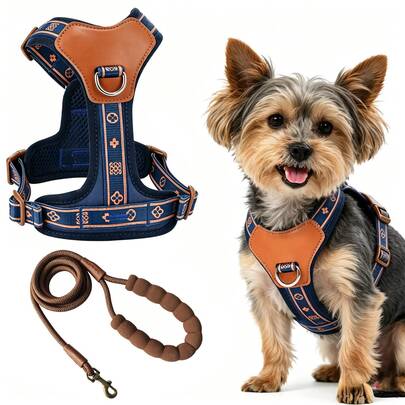 Printed Webbing Leather Dog Harness Set No Pull Y-Shape Breathable Mesh Vest With Padded Handle Leash For Small Medium Dogs Walking Training Outdoor. 4-Point Adjustment, A Custom Fit Four Sliding Buckles Adapt To Any Body Type. Snug Fit Eliminates Gaps, Preventing Escapes. Ensuring Steady Security For Every Outing.