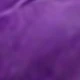 Deep Purple Tulips
