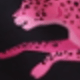 Black and Pink