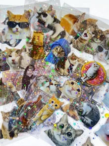 8 张趣味猫咪贴纸，PET 乙烯基贴纸，创意贴纸，DIY 贴纸，办公室装饰贴纸。 - 彩色 - 查看 2