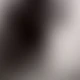 C款