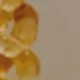 Dorado