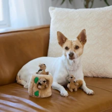 Hide-A-Squirrel Dog Toy – Interactive 2‑In‑1 Plush Puzzle With 3 Squeaky Removable Squirrels, Small - Con sóc - Xem 6