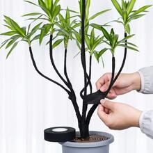 2卷装黑色法兰绒盆景胶带，2.5厘米*10米 - 易撕植物嫁接和造型胶带，适用于插花、汽车线束降噪，耐用多用途园艺和家居工具 - 2PCS - 查看 2