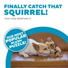 Hide-A-Squirrel Dog Toy – Interactive 2‑In‑1 Plush Puzzle With 3 Squeaky Removable Squirrels, Small - Con sóc - Xem 2