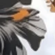 黑色