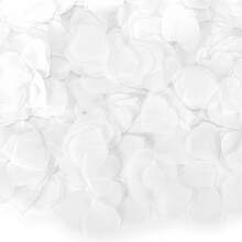 1000 Peças de Confetes em Formato de Coração Branco, Essencial para Atmosfera Romântica em Casamentos, Pedidos de Casamento, Festas de Aniversário e Mais, Criando Instantaneamente uma Cena Suave e Sonhadora. A Cor Branca Pura Traz um Filtro Limpo e Puro, Misturando-se Perfeitamente em Casamentos, Pedidos de Casamento, Fotos de Registro de Casamento, Festas de Aniversário, Sessões de Fotos de Formatura e Mais - A - Visão 4