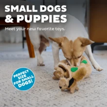 Hide-A-Squirrel Dog Toy – Interactive 2‑In‑1 Plush Puzzle With 3 Squeaky Removable Squirrels, Small - Con sóc - Xem 11