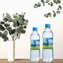 10PCS Blue Football Water Bottle Labels, Sports-Themed Waterproof Decorative Water Bottle Labels And Water Bottle Packaging Sticker Labels For Birthday Party Decorations - Multicolor - View 4