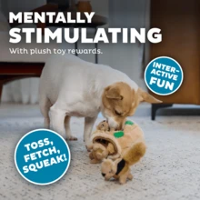 Hide-A-Squirrel Dog Toy – Interactive 2‑In‑1 Plush Puzzle With 3 Squeaky Removable Squirrels, Small - Con sóc - Xem 4