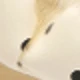 米白