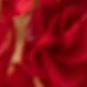 紅色