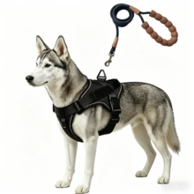 Anti-Pull Anti-Escape Vest Dog Leash Set For Medium And Large Dogs | Made Of Durable Oxford Fabric, Breathable Mesh Padding, Adjustable For 5-60kg Outdoor Walking Training Hiking - Black - View 23