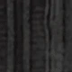 الأسود