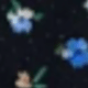 Preto Floral