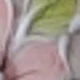 粉色