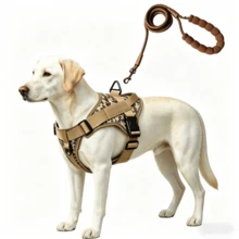Anti-Pull Anti-Escape Vest Dog Leash Set For Medium And Large Dogs | Made Of Durable Oxford Fabric, Breathable Mesh Padding, Adjustable For 5-60kg Outdoor Walking Training Hiking - Black - View 21