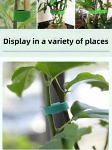 3/5米可重复使用园艺植物扎带，双面植物支撑带，适用于攀援藤蔓、番茄和枝条。适用于绿植和藤蔓造型、线缆管理，长度可自由修剪和调节。 - 均碼 - 查看 5