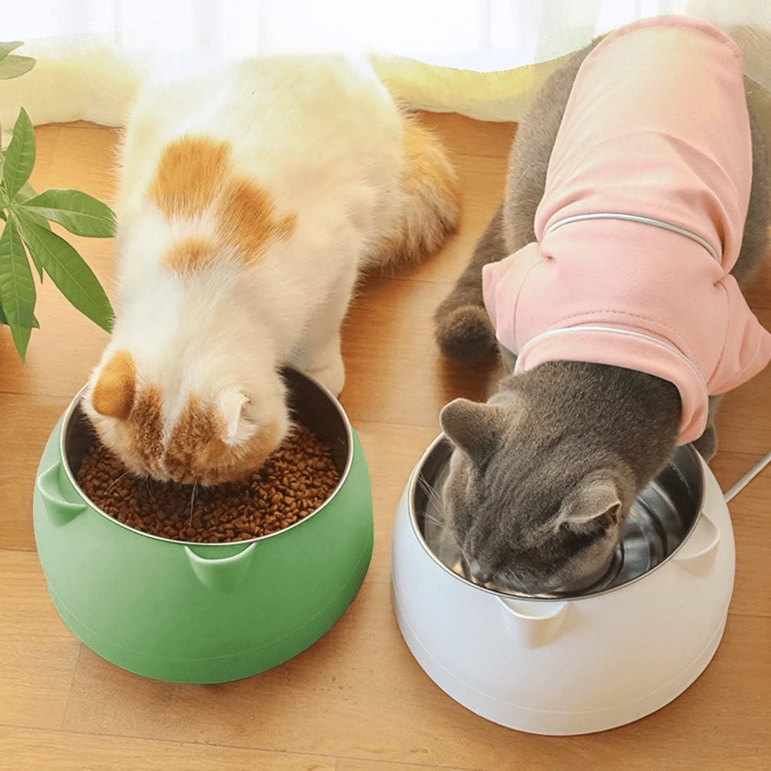 15°倾斜式不锈钢猫粮碗，适合小型猫咪，防滑可拆卸宠物不锈钢斜底食碗，不锈钢猫耳碗，保护猫咪颈部