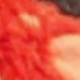 彩色