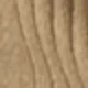 Dark Camel